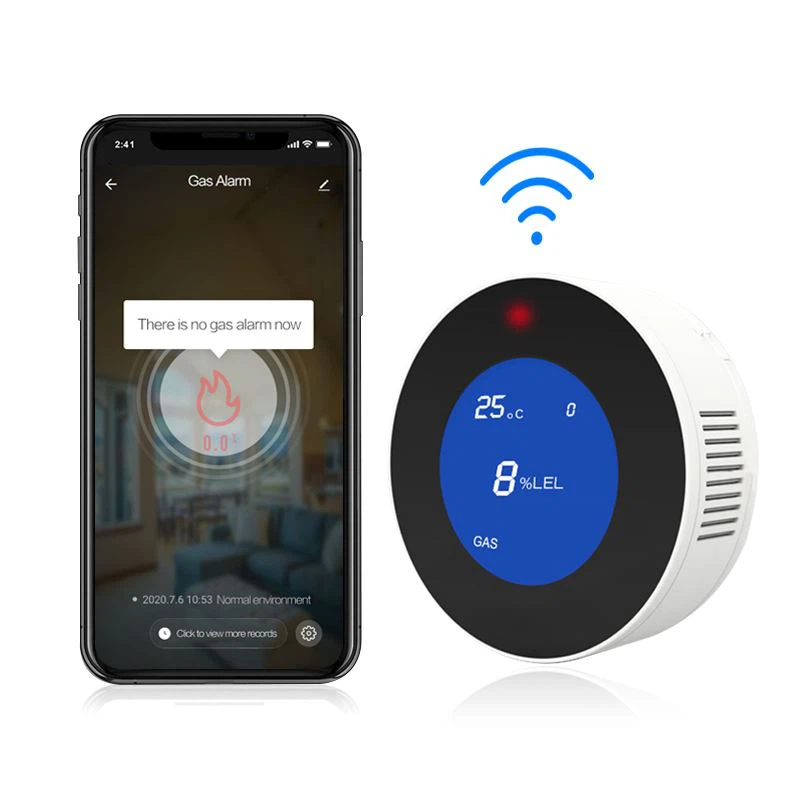 homegas natural gas detector